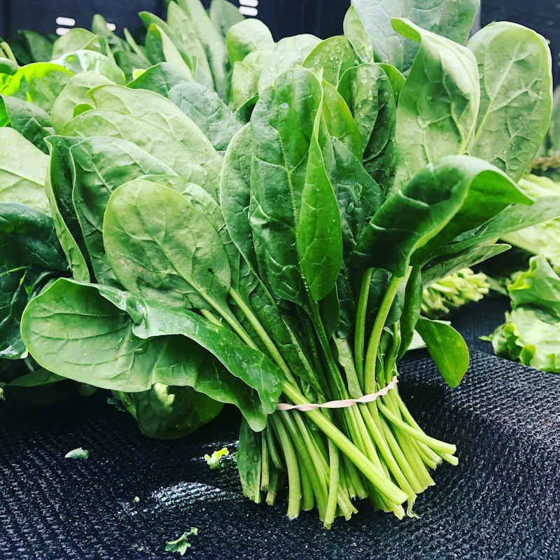 Fresh Organic Baby Spinach